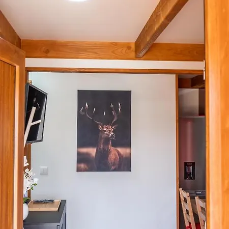 Encosta Do Sonho Chalet Vieira do Minho