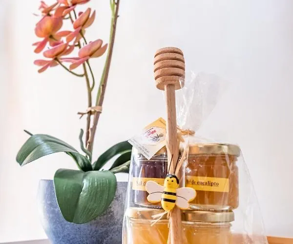 Encosta Do Sonho Vieira do Minho