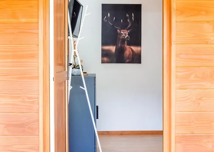 Encosta Do Sonho Vieira do Minho