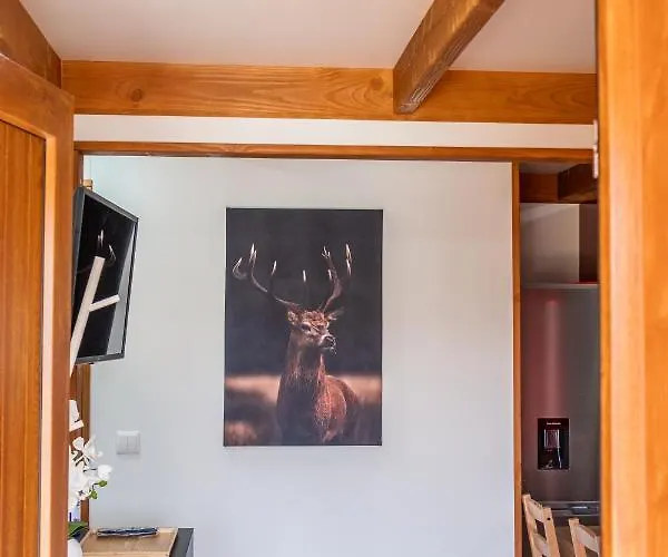 Encosta Do Sonho Chalé Vieira do Minho